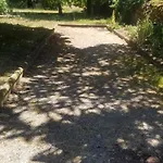 Et Dans Un Lieu Calme Et Champetre Les Grippeaux Proche Parthenay