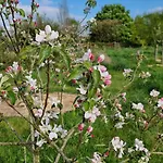 Et Dans Un Lieu Calme Et Champetre Les Grippeaux Proche Parthenay Homestay