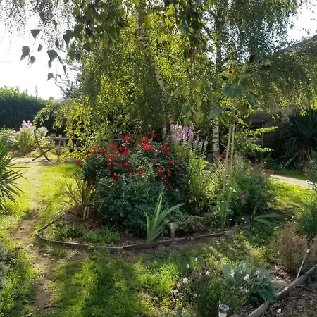 Homestay Et Dans Un Lieu Calme Et Champetre Les Grippeaux Proche Parthenay *