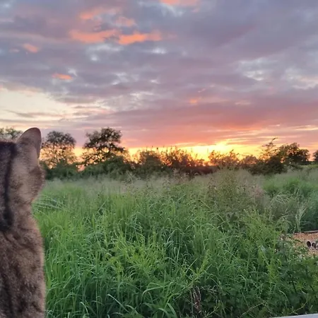 Et Dans Un Lieu Calme Et Champetre Les Grippeaux Proche Parthenay