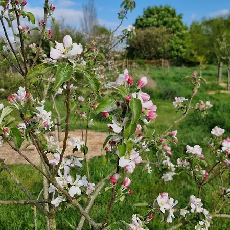 Et Dans Un Lieu Calme Et Champetre Les Grippeaux Proche Parthenay منزل للإقامة