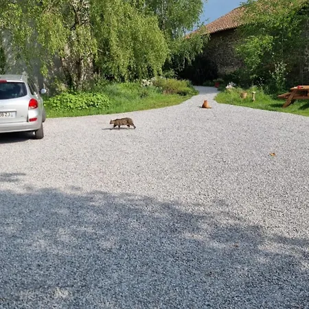 Et Dans Un Lieu Calme Et Champetre Les Grippeaux Proche Parthenay Privat bolig Gourgé