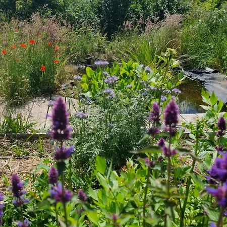 Et Dans Un Lieu Calme Et Champetre Les Grippeaux Proche Parthenay * Gourgé