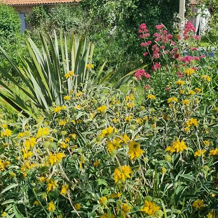 Et Dans Un Lieu Calme Et Champetre Les Grippeaux Proche Parthenay ホームステイ *