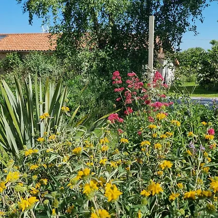 Homestay Et Dans Un Lieu Calme Et Champetre Les Grippeaux Proche Parthenay *